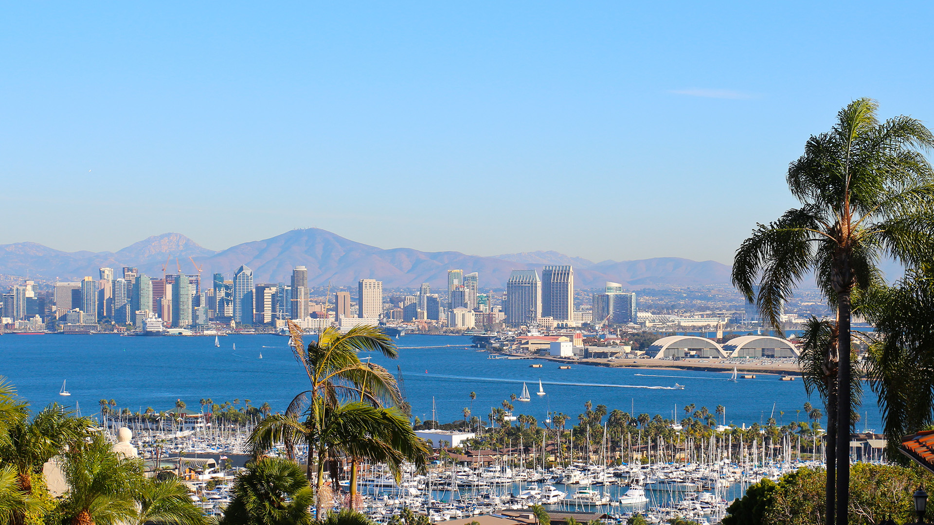 The image shows a scenic view of a city skyline with palm trees, a large body of water, and boats on the horizon, under a clear blue sky.
